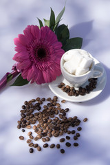 Coffee cups and herbs decoration