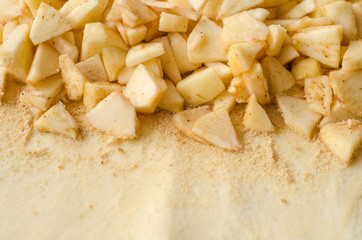 Classical apple strudel prepared for baking