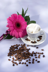 Coffee cups and herbs decoration