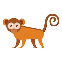 Obraz na płótnie Canvas cute exotic monkey character