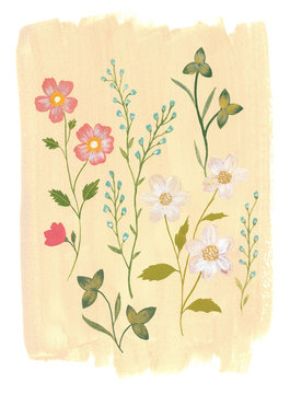 Botcanical Illustration on Light Brown Background