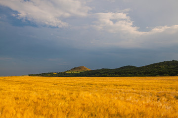 Obraz premium View on Cicov hill in Czech Bohemian Highlands before storm.