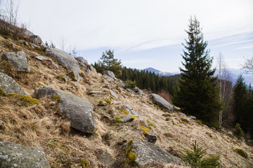 Landscape in the Hutsul mountain village in the morning .