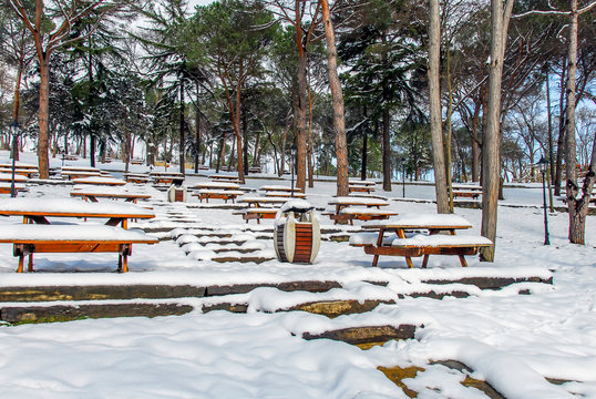 Istanbul, Turkey, 26 January 2010: Emirgan grove and snow, Emirgan