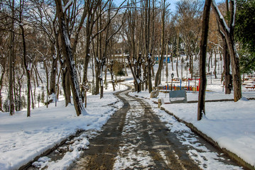 Istanbul, Turkey, 26 January 2010: Emirgan grove and snow, Emirgan