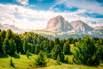 scenic landscape of dolomites mountains and a beautiful green valley during summer on a sunny day, located in val gardena, south tyrol, italy.