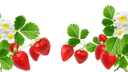 garden fresh sweet strawberry