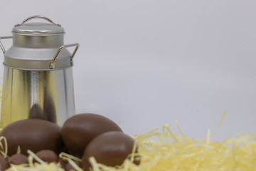 Bordure avec zone de texte pour produit de la ferme, produit laitier, lait, chocolat et pot de lait