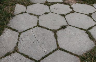 Paving slab. Paving