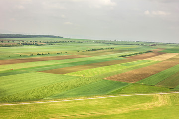 Obraz premium Green fields in the suburbs of city