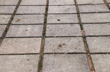 Obraz premium Paving slab. Paving