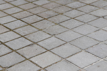 Paving slab. Paving