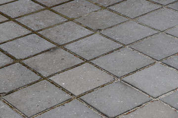 Paving slab. Paving
