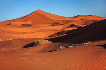 Fototapeta na wymiar Red sand mountains and sun in sahara desert