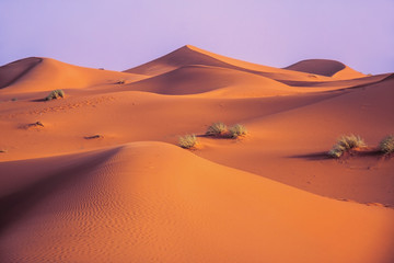 Fototapeta na wymiar Red sand mountains and grass in sahara desert