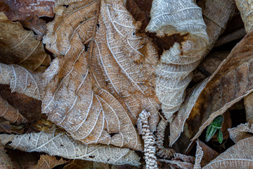 texture and background