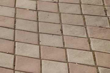 Paving slab. Paving