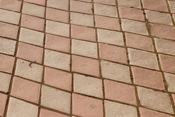 Paving slab. Paving