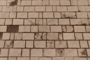 Paving slab. Paving