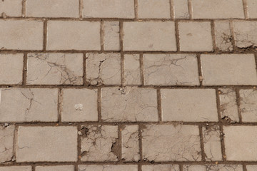 Paving slab. Paving