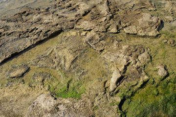 Stone texture under water