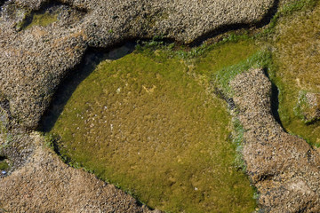 Stone texture under water