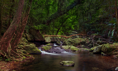 Сalm tropical creek flows among mossy rocks in rainforest. Image. Stoney Creek Environmental Reserve, Kamerunga, Cairns. Far North Queensland. Australia