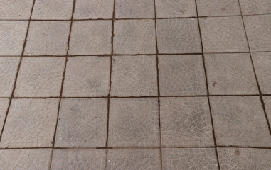 Paving slab. Paving