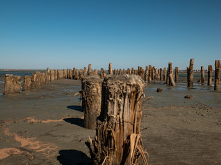 wooden bollards in the sand against the estuary and blue sky. kuyalnitsky estuary