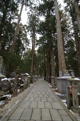高野山 奥の院 参道 (雪景色)