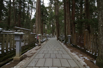 高野山 奥の院 参道 (雪景色)