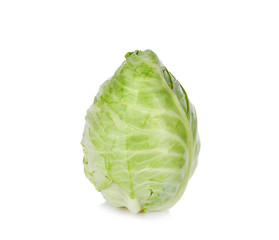 cabbage on white background