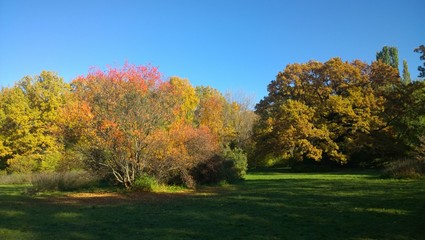 Fototapeta premium Botanic garden Moscow Russia