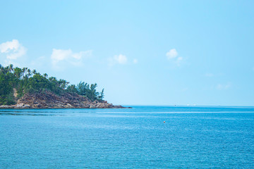 The beauty of the sea and trees on the rocks in the island at Haad salad , koh Phangan, Surat Thani in Thailand.