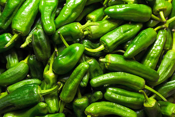 green peppers of Padron, Galicia, Spain