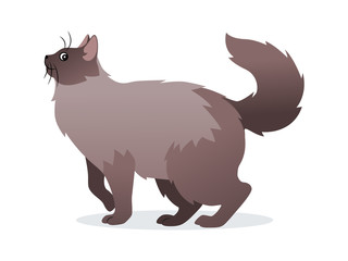 Long-haired cat with long fluffy tail icon, pet isolated on white background, domestic animal, vector illustration in flat style.