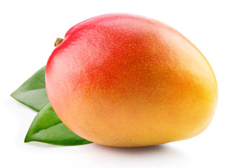 Mango isolated on white background