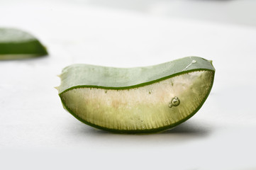 leaves of medicinal plant aloe vera