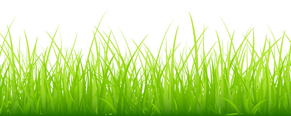 Große Rasenkante Grün