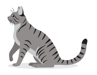 Fototapeta na wymiar Smooth coated tabby cat with long tail icon, cute gray pet, domestic animal, vector illustration