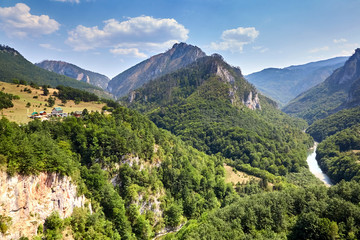 Fototapeta na wymiar Mountain landscape. Canyon of the river Tara in Montenegro. Beautiful nature on a sunny summer day