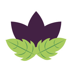 flower leaves foliage