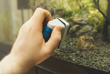 Male hand cleaning aquarium using magnetic cleaner.