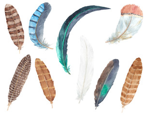 Watercolor hand drawn bird feathers boho colorful set isolated on white background