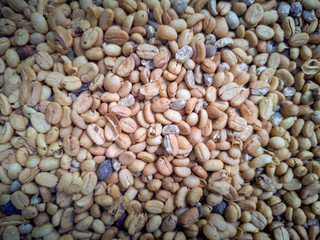 Texture, background. Raw unroasted coffee beans