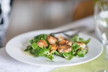 Grilled Fresh Scallop on salad. Closeup of seared scallops. Seafood from Normandia is delicious and perfect for christmas
