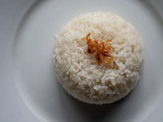White rice on a white plate