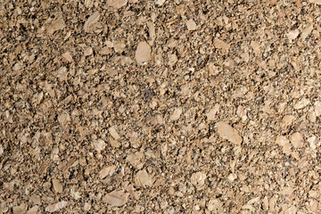 Background of cork tree plates