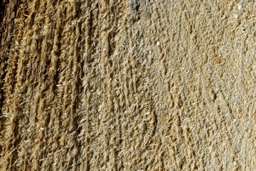 Wooden textural background
