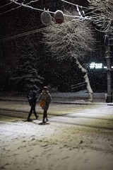 two figures of people walk in snow fall acros the road